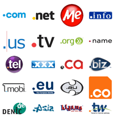 Domain Name Registration